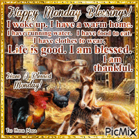 The Horse Mafia Happy Monday Blessings! - Безплатен анимиран GIF
