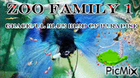 Graceful Blue Bird of Paradise - GIF animé gratuit