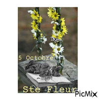Ste Fleur - Darmowy animowany GIF