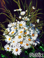 kvety animoitu GIF