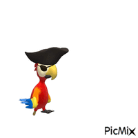 pirate parrot - Безплатен анимиран GIF