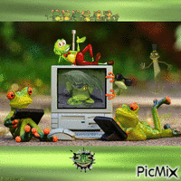 Frog fun - Gratis animerad GIF