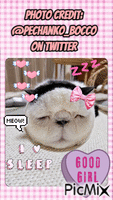 sleepy cat - GIF animé gratuit
