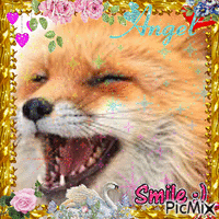 Smile fox animovaný GIF