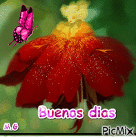 hadas en flor - 無料のアニメーション GIF