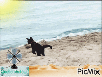 plage animovaný GIF