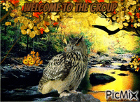 welcome owl анимиран GIF
