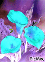 flower - Ingyenes animált GIF