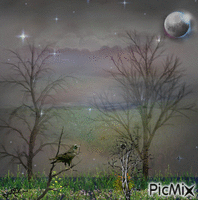 moonlight - 無料のアニメーション GIF