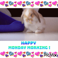 Monday morning animovaný GIF