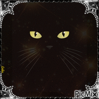 Cat. Black - GIF animasi gratis