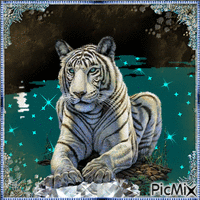tiger GIF animata