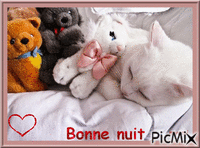 bonne nuit chat - Bezmaksas animēts GIF