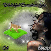 Watchful Eurasian Lynx - Bezmaksas animēts GIF