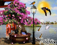 lago com flores - Animovaný GIF zadarmo