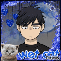 haejoon wet cat - GIF animé gratuit