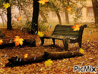 outono - Bezmaksas animēts GIF