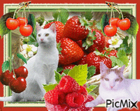 fruits rouges Animated GIF