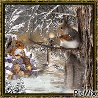 Écureuil en hiver
