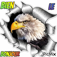 BONJOUR - Безплатен анимиран GIF