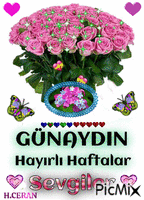 GÜNAYDIN - Animovaný GIF zadarmo