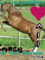 le cheval c'est trop genial !!!!!!!!!!!!!!!!!!!!!!!!!!!!!!!!!!!!!!!!!!!!!!!!!!!!!!!!!!!!!!!!!!!!!!!!!! - GIF animé gratuit