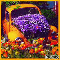 VINTAGE CARS AND FLOWERS