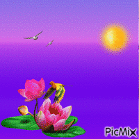 oiseaux - Bezmaksas animēts GIF