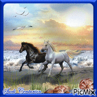 Corrida de Cavalos animovaný GIF