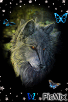 wolf w/ butterflies - Free animated GIF