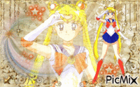 Sailor Moon! GIF animado