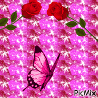 Papillon sur fond rose