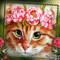 Cat in Flowers-RM-03-18-23 - Ingyenes animált GIF