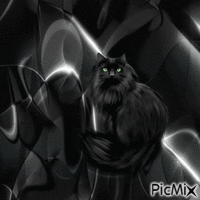 Черный кот - Nemokamas animacinis gif