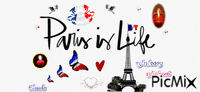 Paris 13/11/15-13/11/16 Animated GIF
