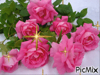 trandafirii - Бесплатный анимированный гифка