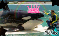 lolita orca - GIF animé gratuit