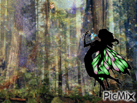 forest - Ingyenes animált GIF