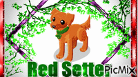 Red Setter - Bezmaksas animēts GIF