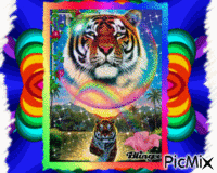 Tigre animeret GIF