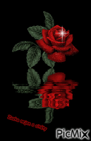 Růže - Gratis animeret GIF