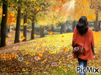 automne 1 animasyonlu GIF