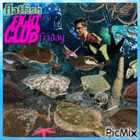 happy flatfish fight club friday Animated GIF