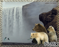 Bears were fishing for salmon.🐻 - GIF animasi gratis
