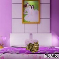 Cat on bed animeret GIF
