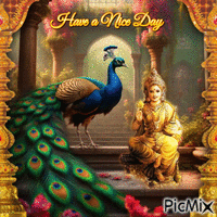 Have a Nice Day Peacock in the Indian Garden animovaný GIF