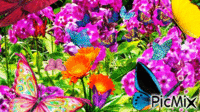 Fleurs et papillons. - GIF animado grátis
