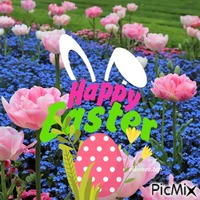 Happy Easter.! Animated GIF