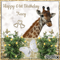 Happy 61st Birthday Tracy ( personal)