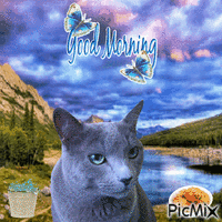 Good Morning Kitty - GIF animé gratuit